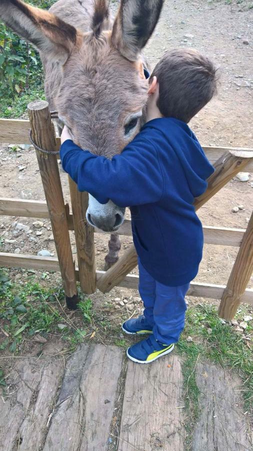 メーレ Agriturismo Grillaヴィラ エクステリア 写真