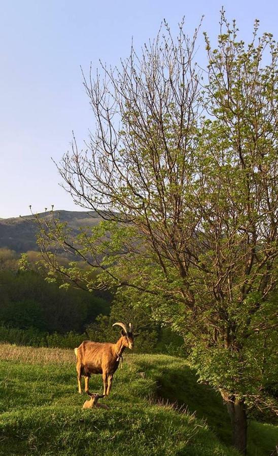 メーレ Agriturismo Grillaヴィラ エクステリア 写真