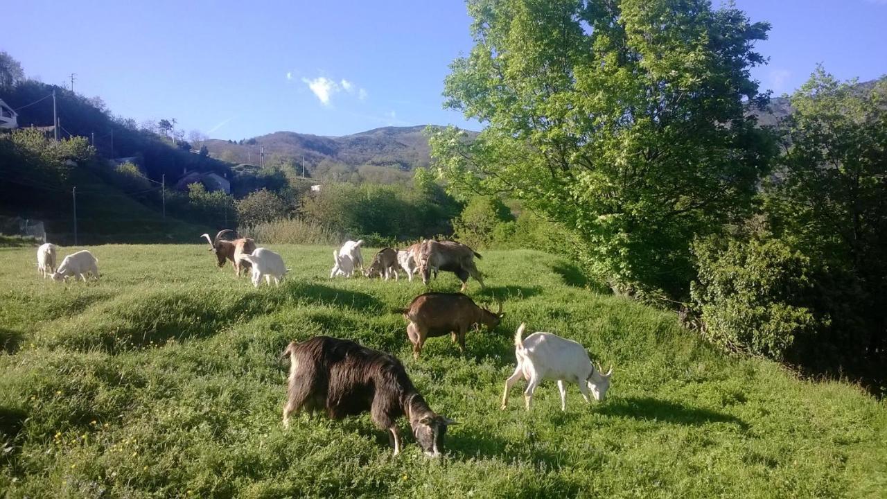 メーレ Agriturismo Grillaヴィラ 部屋 写真